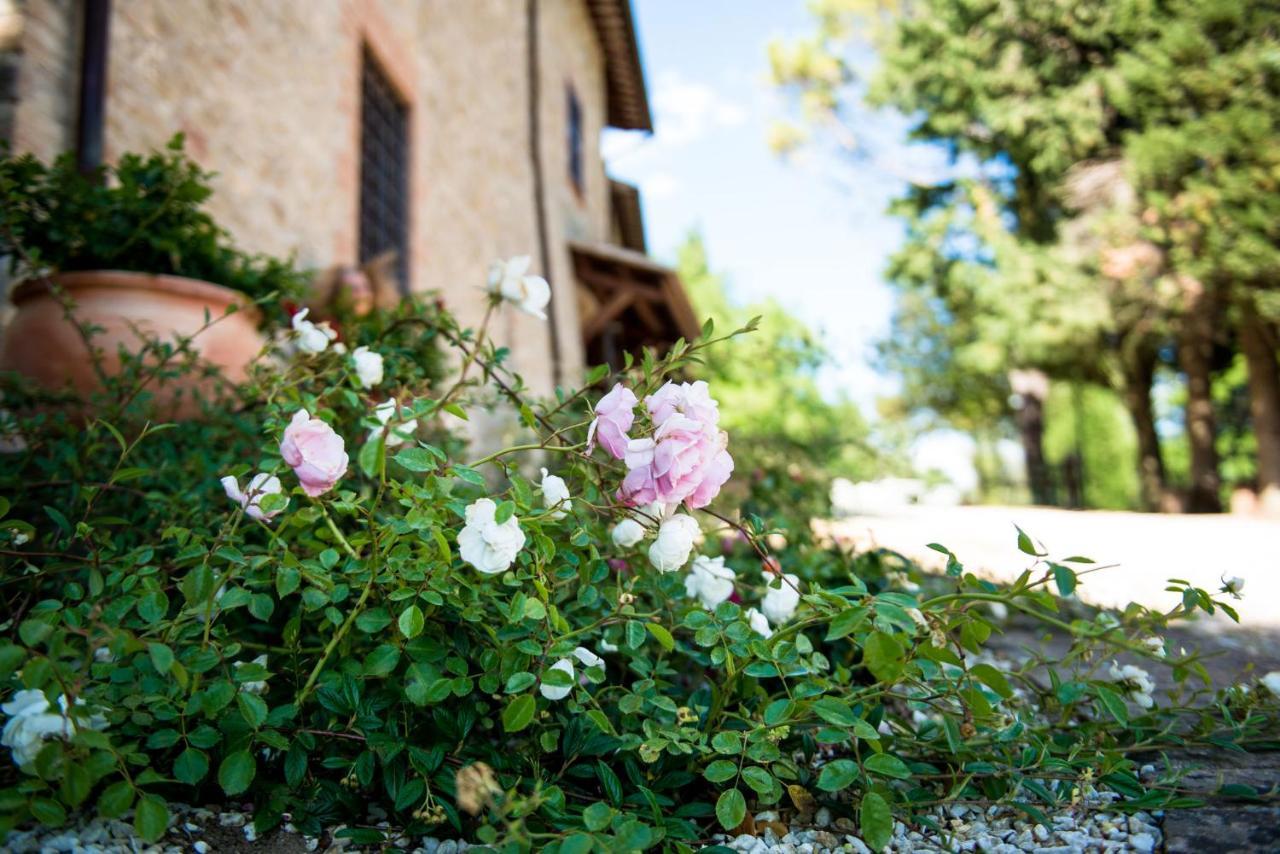 Villamena Assisi Luaran gambar